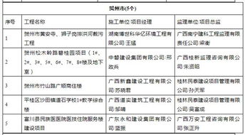 广西14市122个工程项目被 严管 包括商品住宅 医院综合楼......